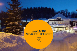 Bus Prom Inkl. 5 dages liftkort